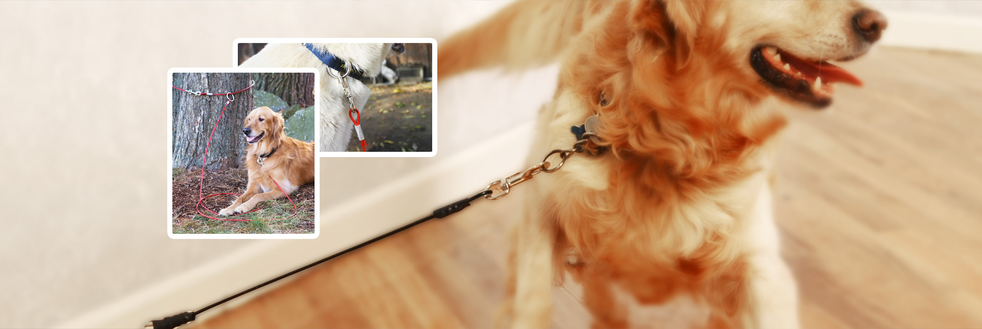 banner